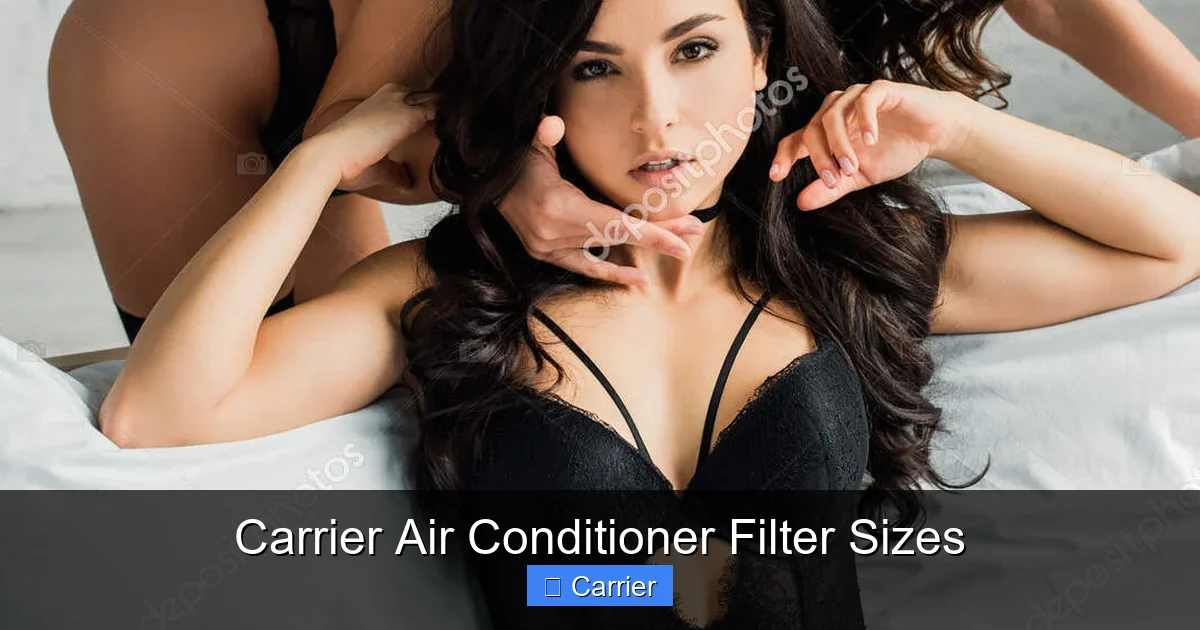 Carrier Air Conditioner Filter Sizes
