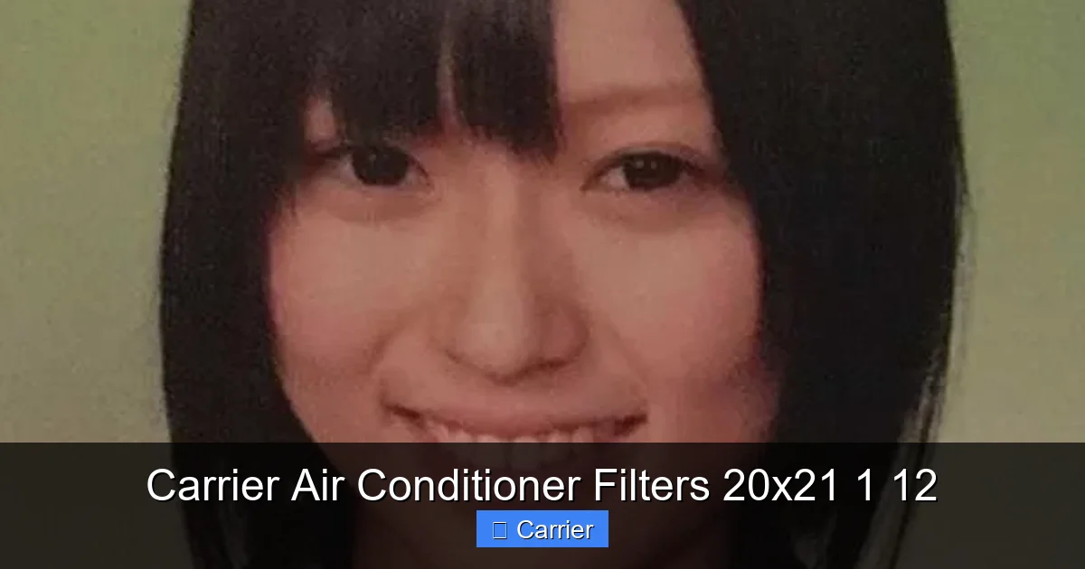 Carrier Air Conditioner Filters 20x21 1 12