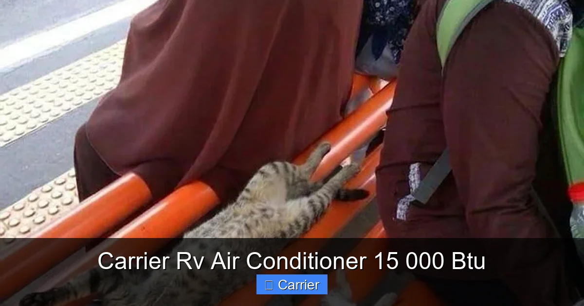 Carrier Rv Air Conditioner 15 000 Btu