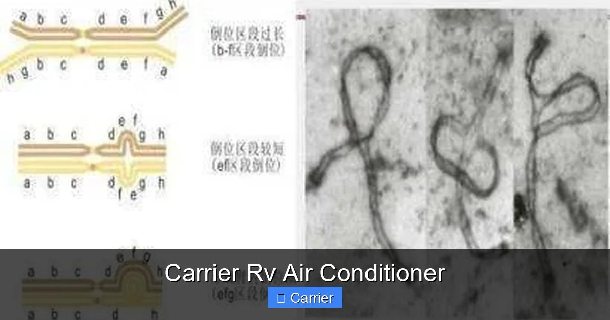 Carrier Rv Air Conditioner