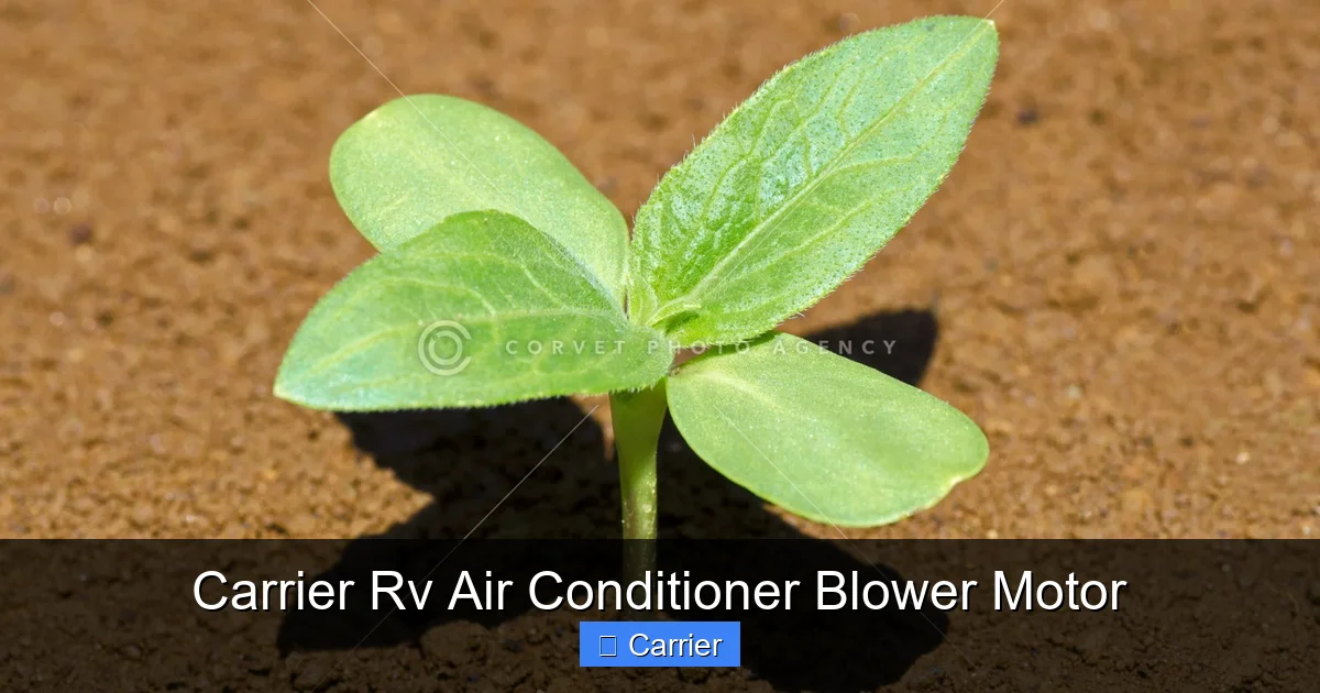 Carrier Rv Air Conditioner Blower Motor
