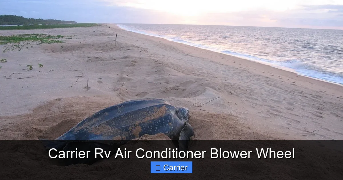 Carrier Rv Air Conditioner Blower Wheel