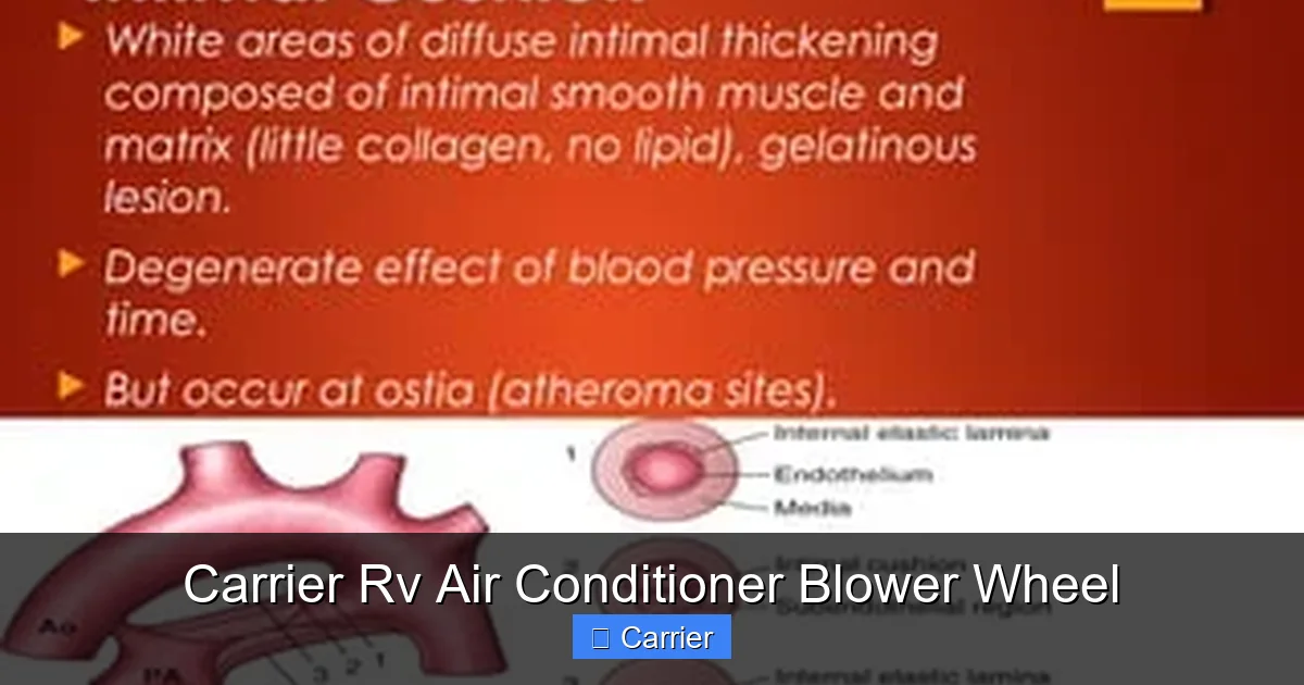 Carrier Rv Air Conditioner Blower Wheel