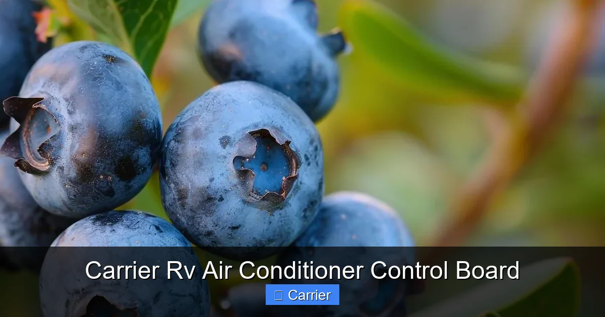 Carrier Rv Air Conditioner Control Board