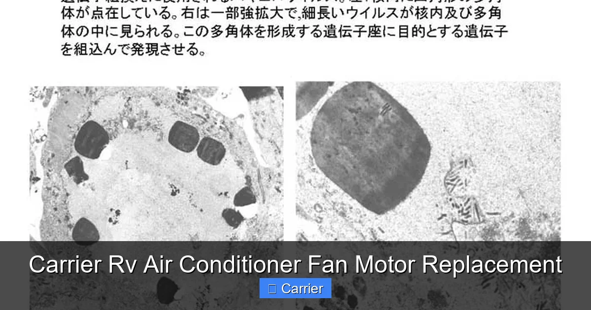 Carrier Rv Air Conditioner Fan Motor Replacement