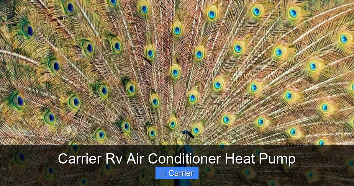 Carrier Rv Air Conditioner Heat Pump