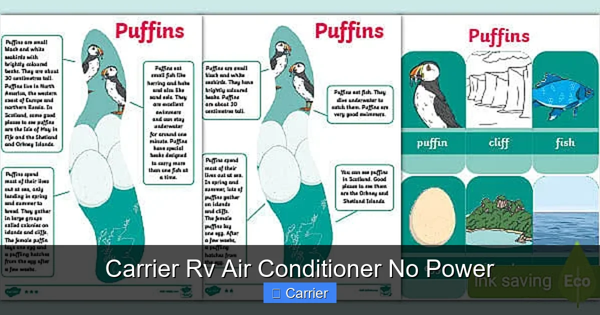 Carrier Rv Air Conditioner No Power