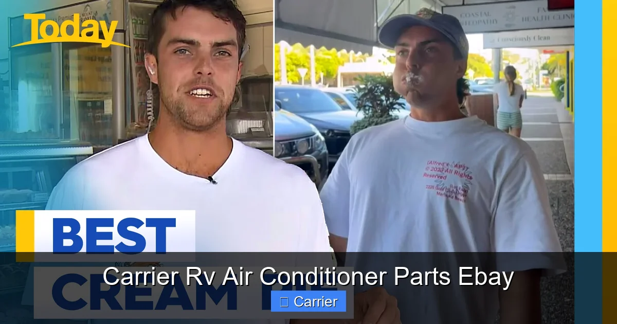 Carrier Rv Air Conditioner Parts Ebay