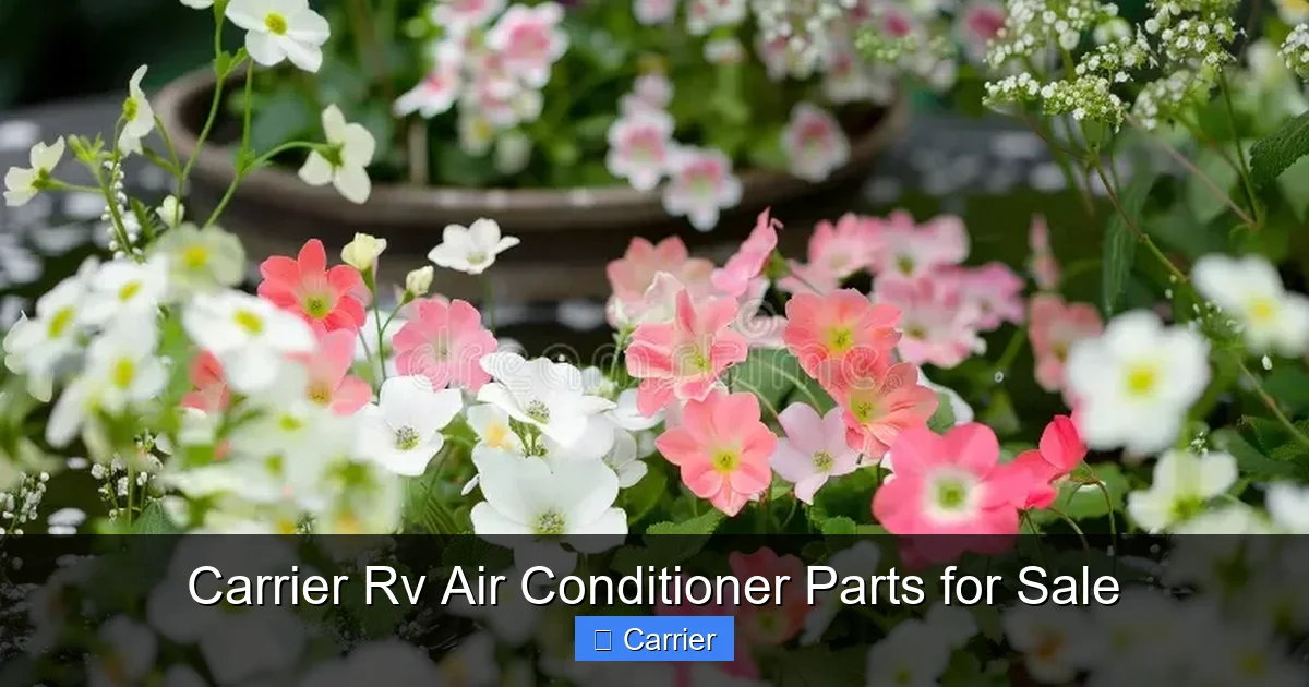 Carrier Rv Air Conditioner Parts for Sale