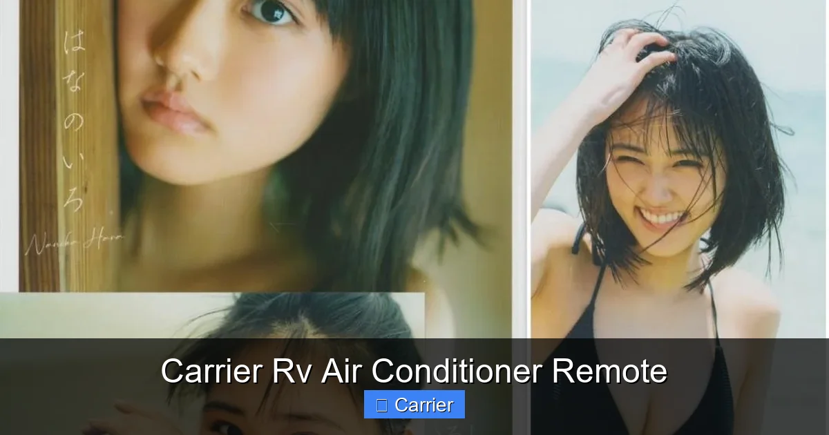 Carrier Rv Air Conditioner Remote