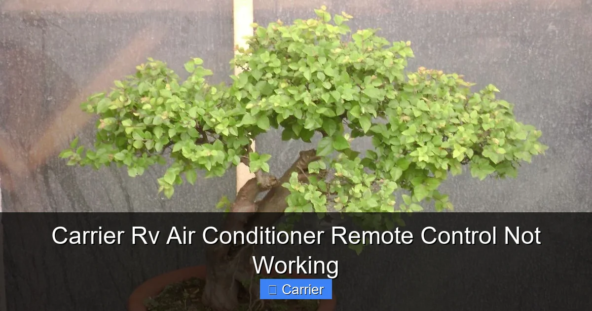 Carrier Rv Air Conditioner Remote Control Not Working