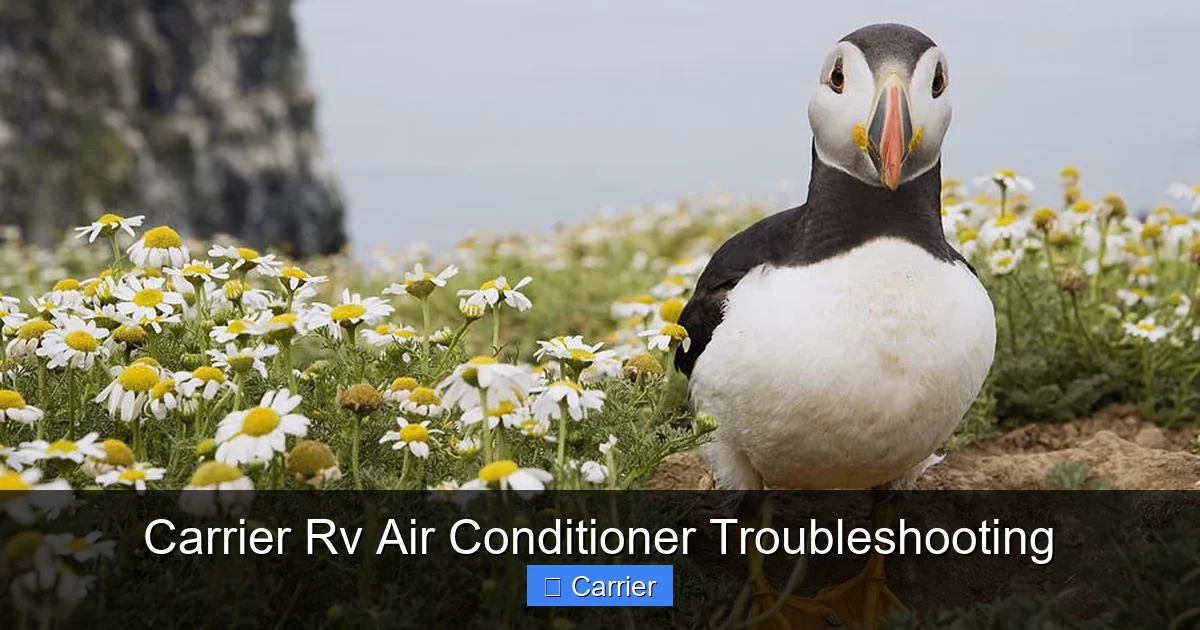 Carrier Rv Air Conditioner Troubleshooting