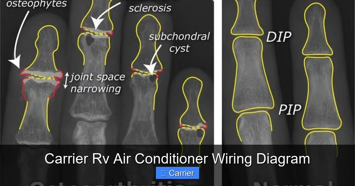 Carrier Rv Air Conditioner Wiring Diagram