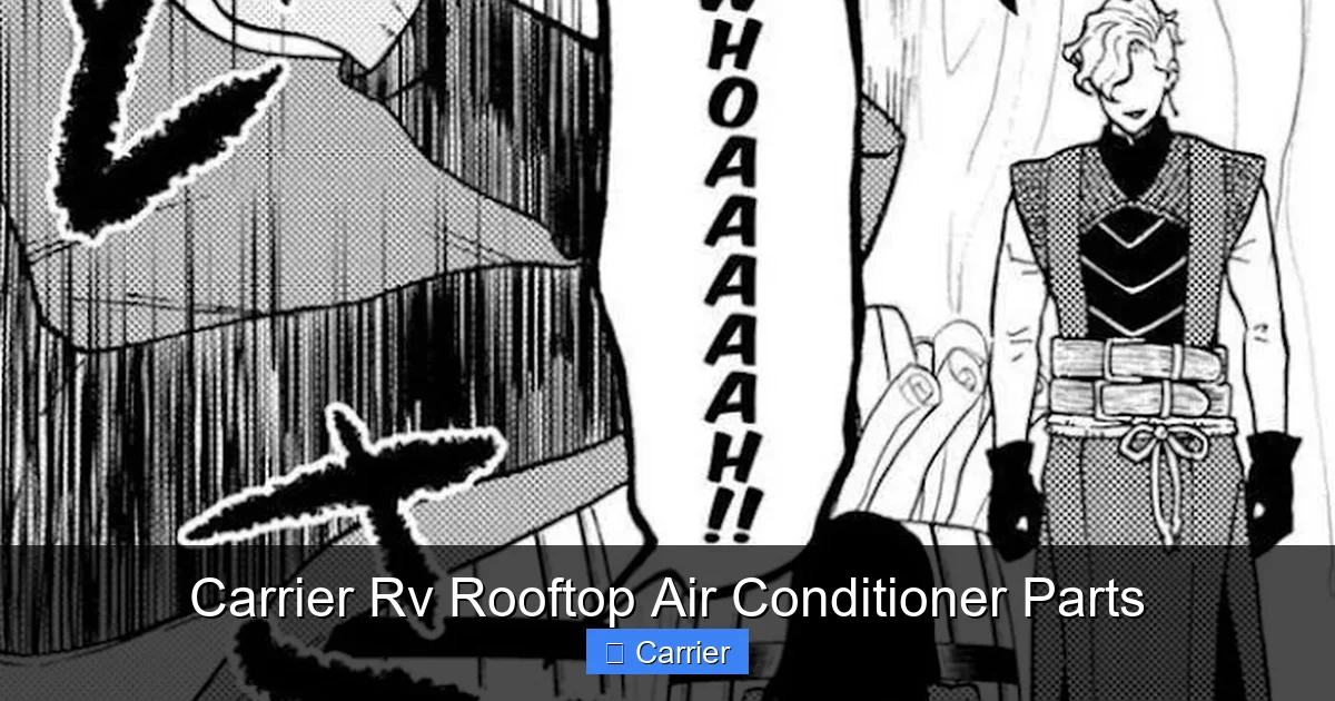 Carrier Rv Rooftop Air Conditioner Parts