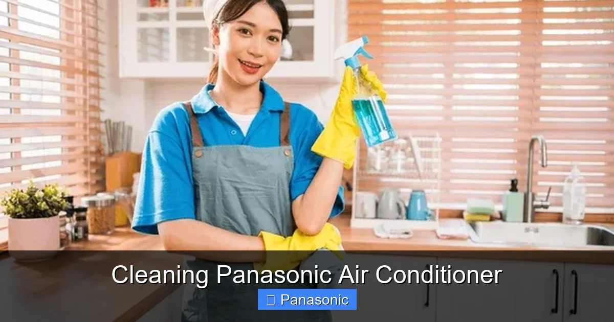 Cleaning Panasonic Air Conditioner