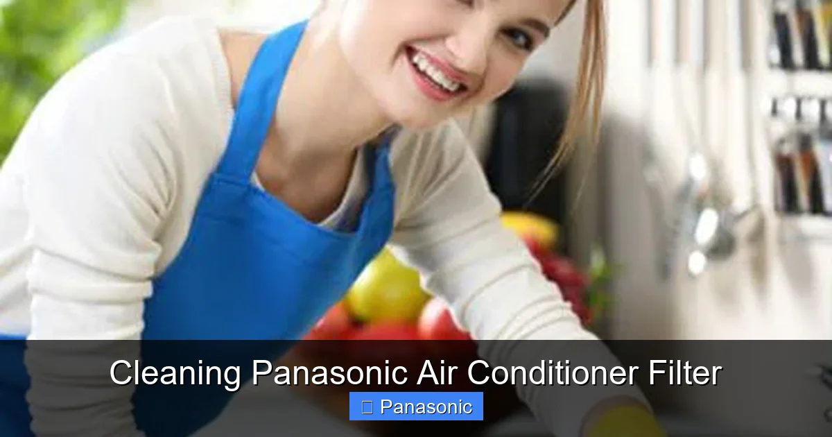 Cleaning Panasonic Air Conditioner Filter