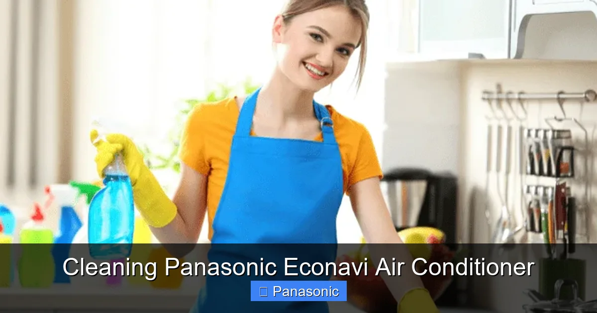 Cleaning Panasonic Econavi Air Conditioner
