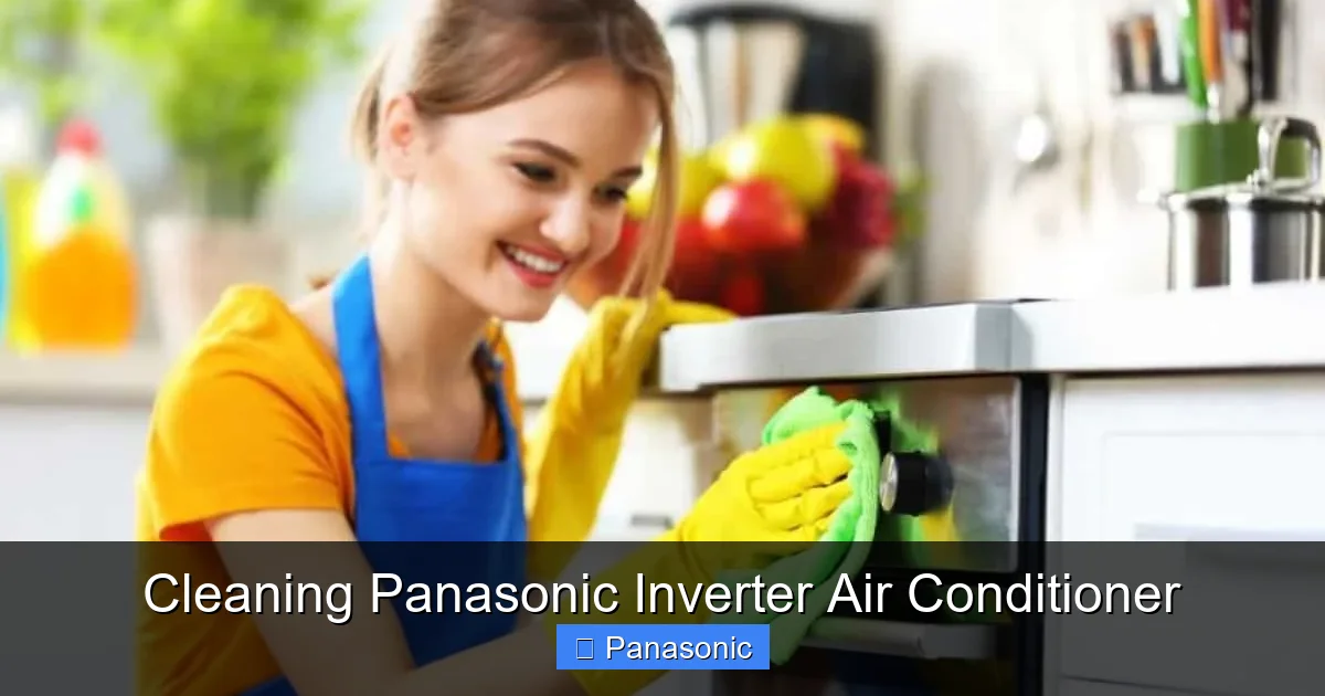Cleaning Panasonic Inverter Air Conditioner