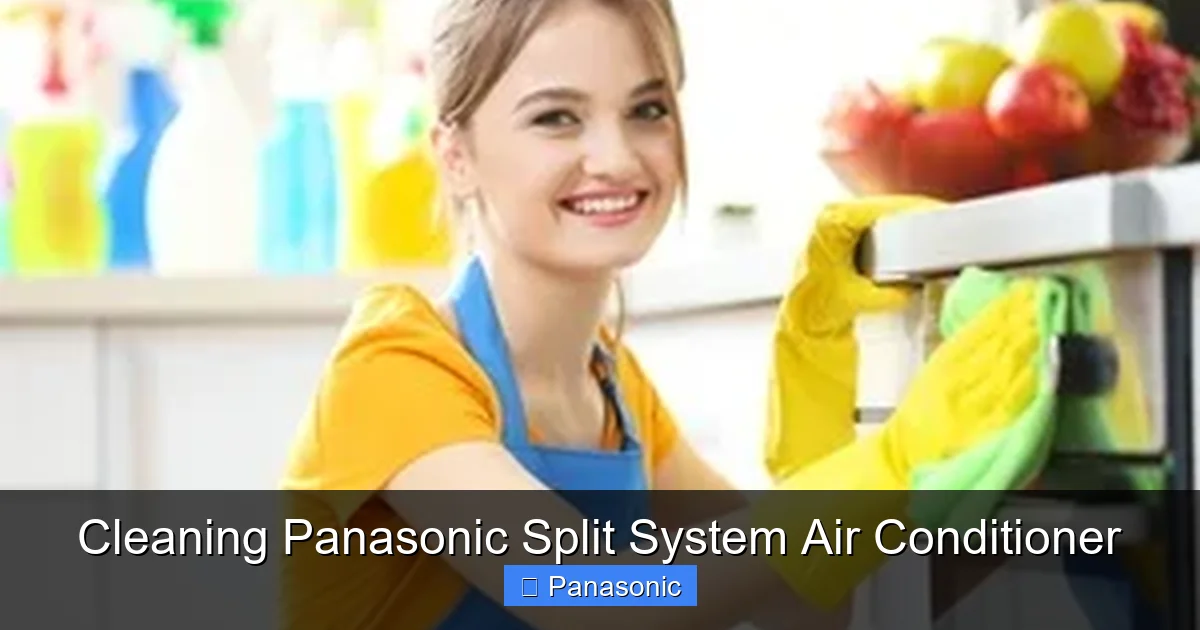 Cleaning Panasonic Split System Air Conditioner