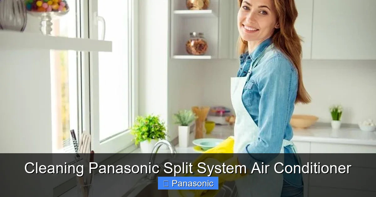 Cleaning Panasonic Split System Air Conditioner