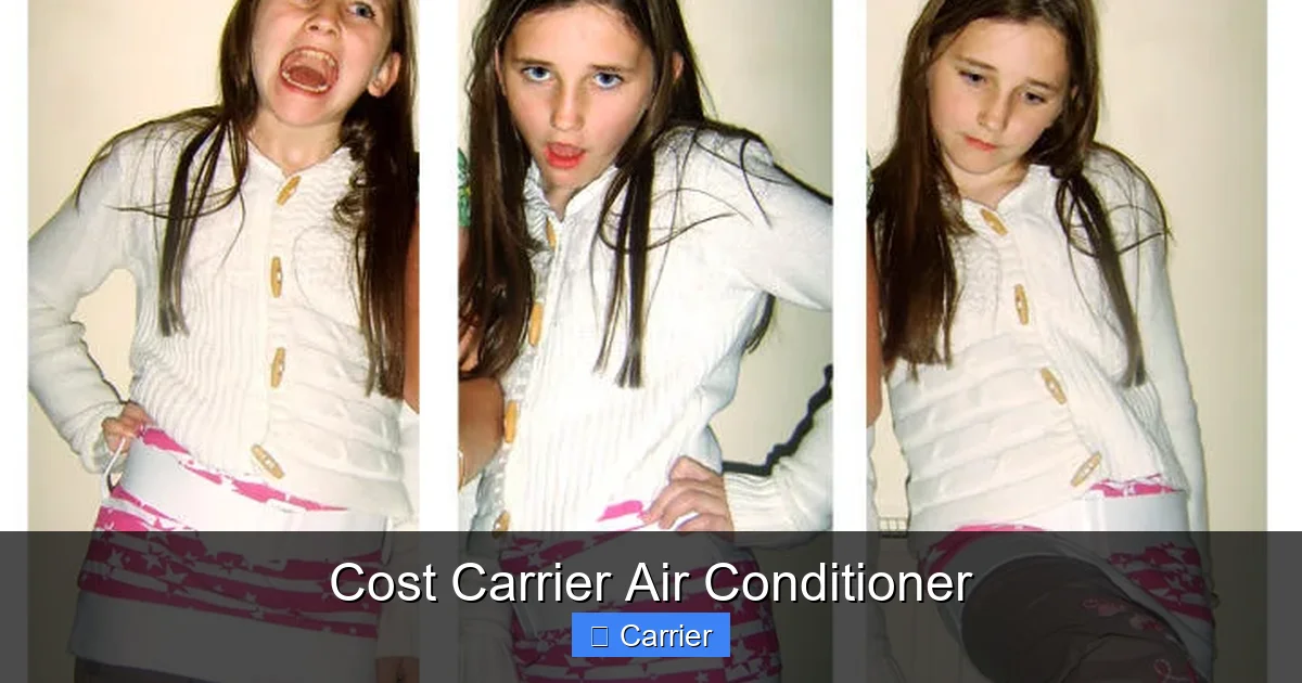 Cost Carrier Air Conditioner