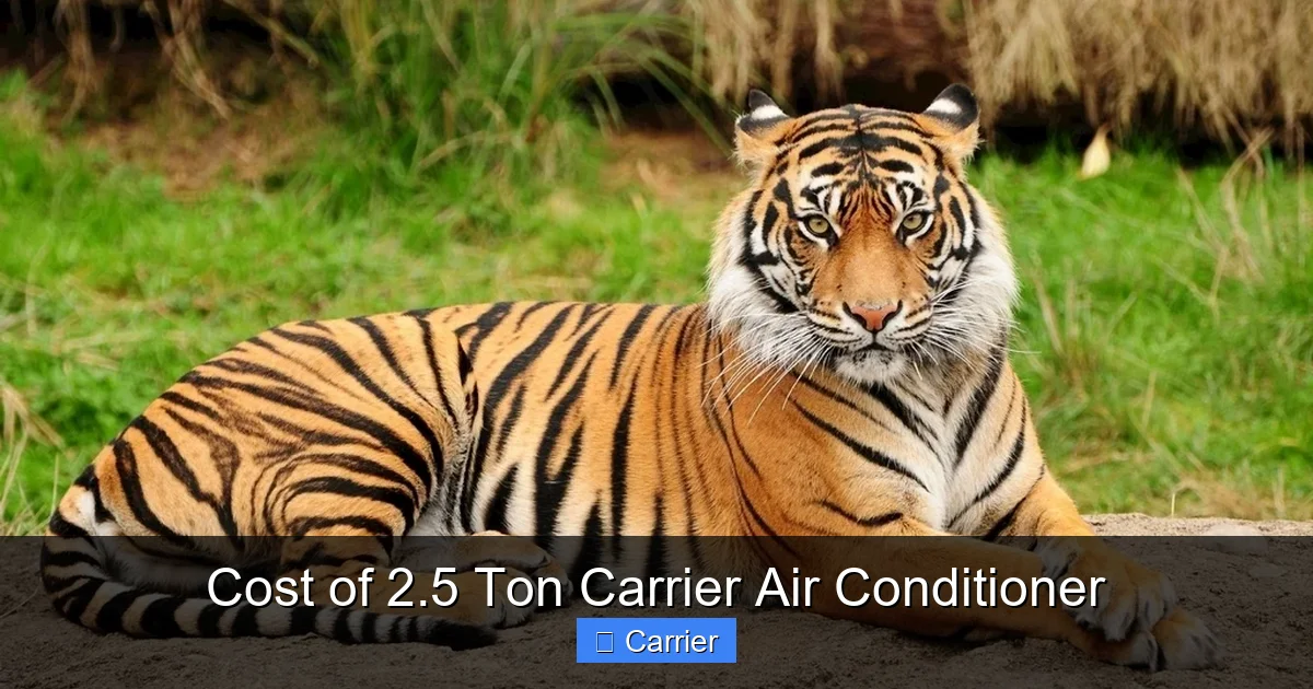 Cost of 2.5 Ton Carrier Air Conditioner