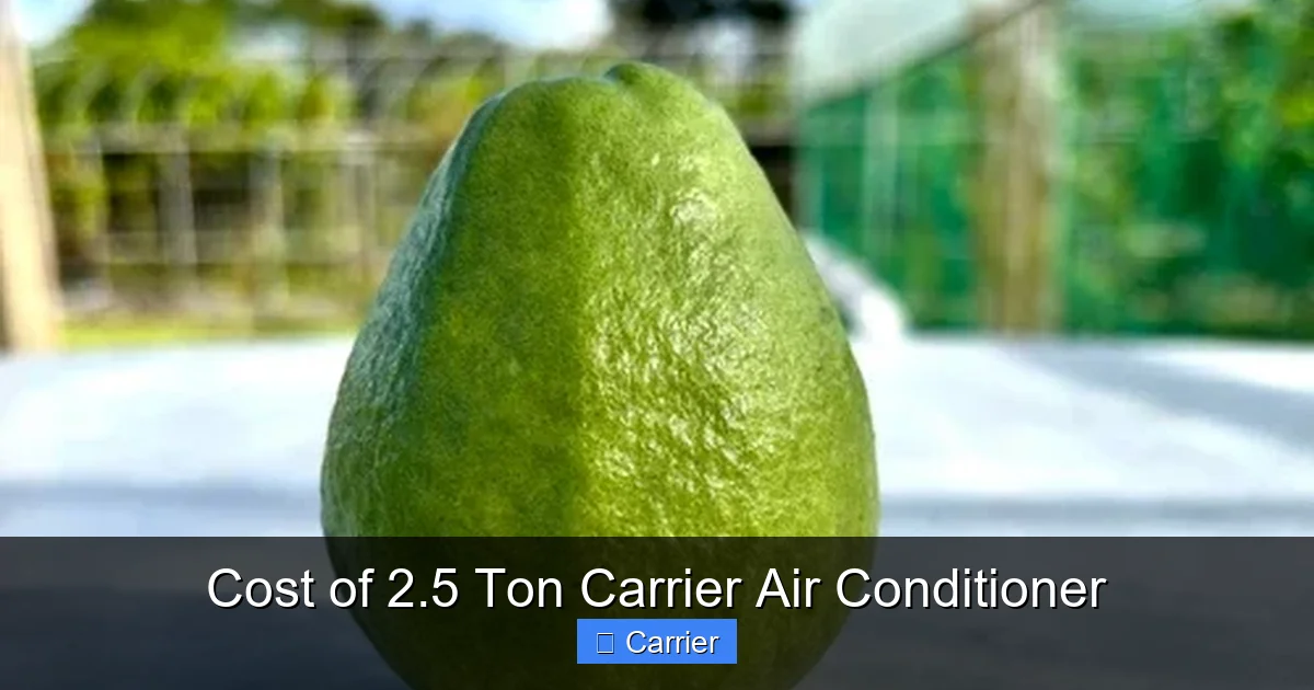 Cost of 2.5 Ton Carrier Air Conditioner