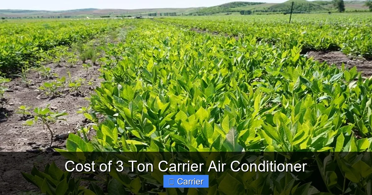 Cost of 3 Ton Carrier Air Conditioner