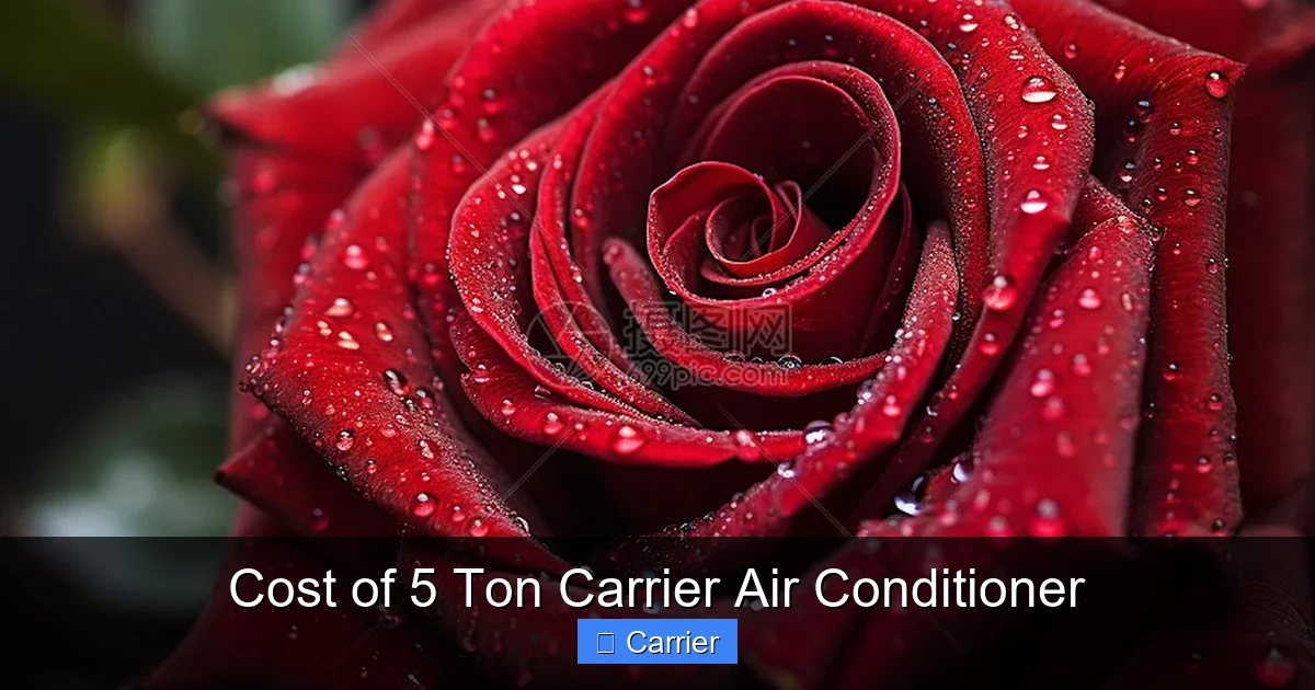 Cost of 5 Ton Carrier Air Conditioner