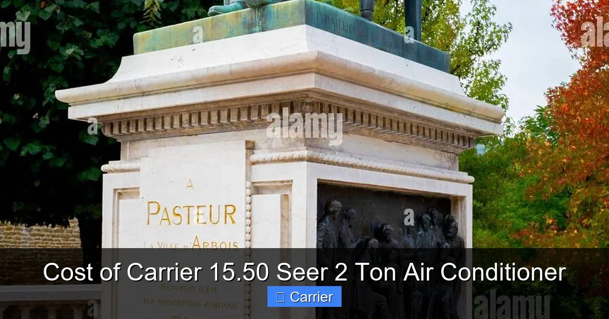 Cost of Carrier 15.50 Seer 2 Ton Air Conditioner