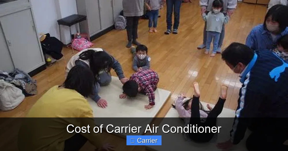 Cost of Carrier Air Conditioner