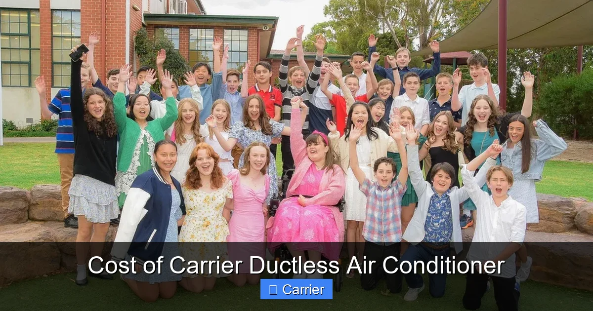 Cost of Carrier Ductless Air Conditioner