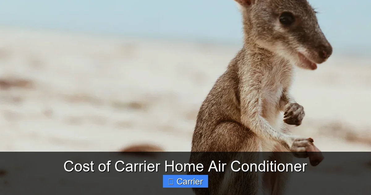 Cost of Carrier Home Air Conditioner