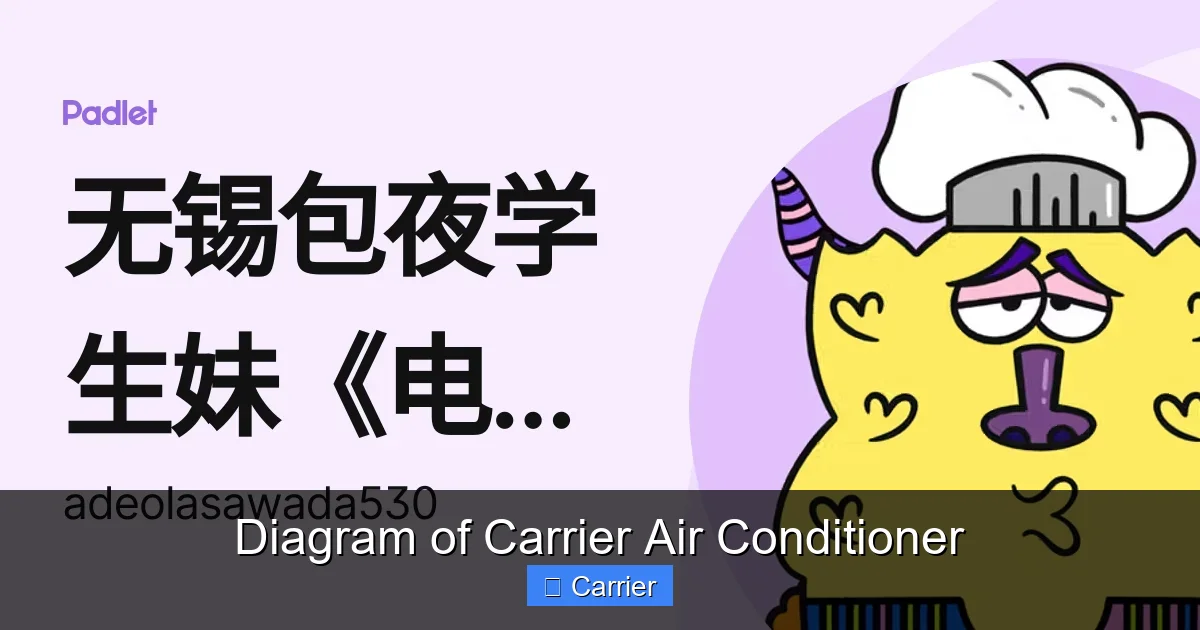 Diagram of Carrier Air Conditioner