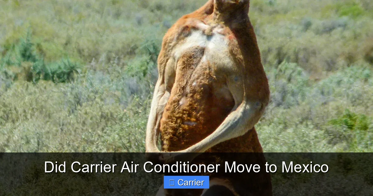 Did Carrier Air Conditioner Move to Mexico