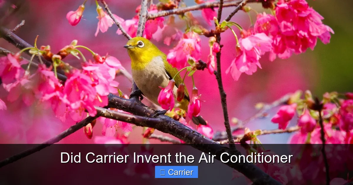 Did Carrier Invent the Air Conditioner
