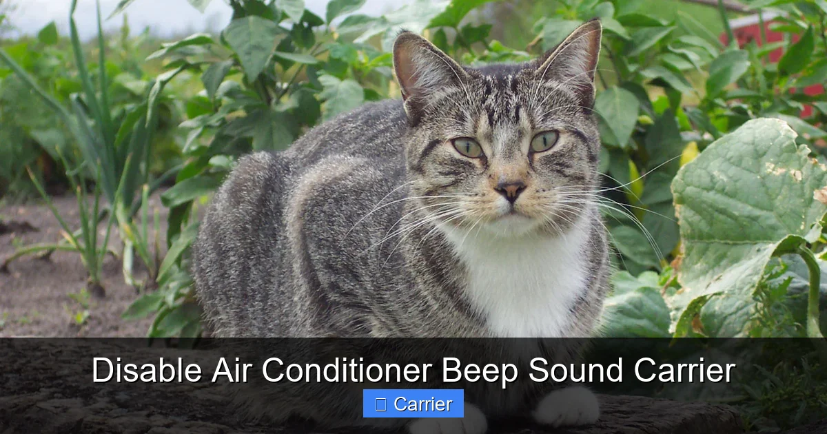 Disable Air Conditioner Beep Sound Carrier