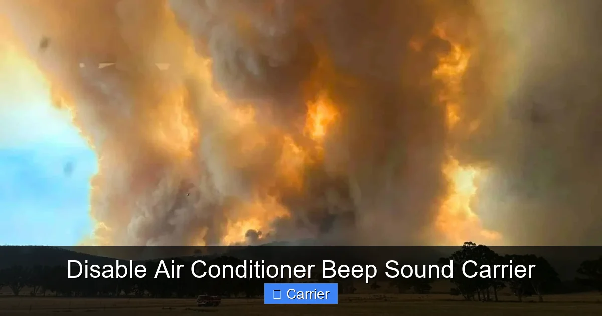 Disable Air Conditioner Beep Sound Carrier