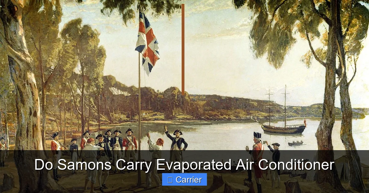 Do Samons Carry Evaporated Air Conditioner