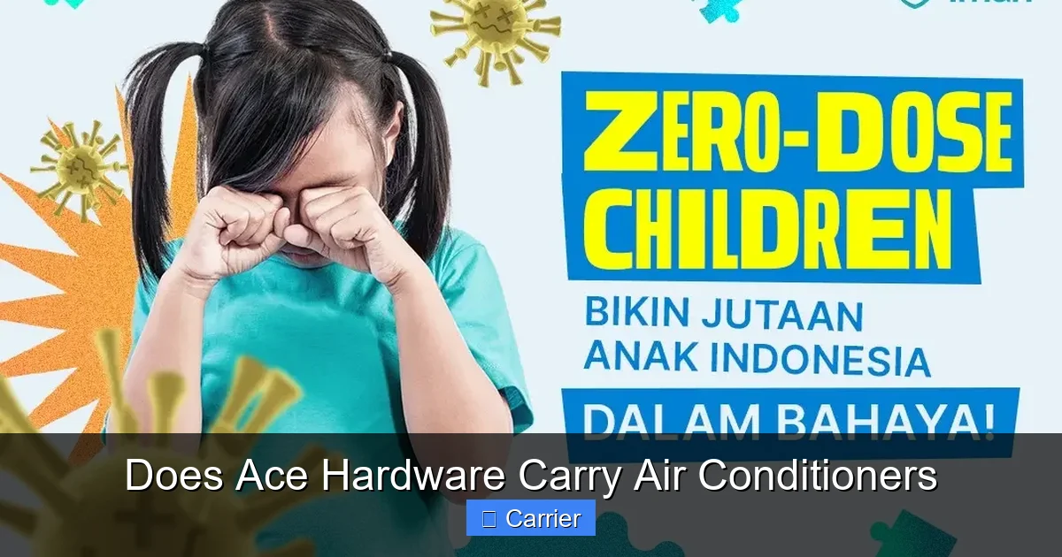 Does Ace Hardware Carry Air Conditioners