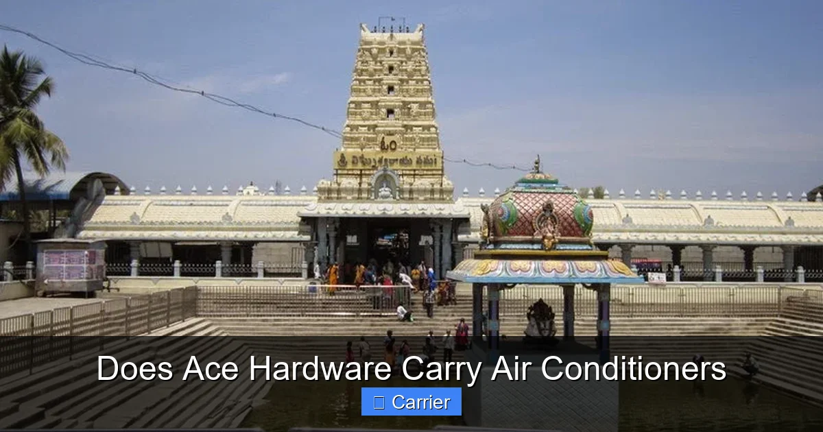 Does Ace Hardware Carry Air Conditioners