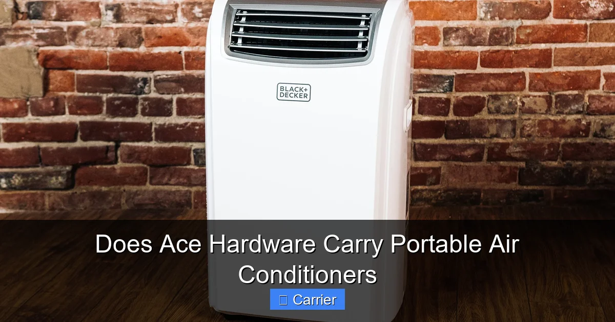 Does Ace Hardware Carry Portable Air Conditioners