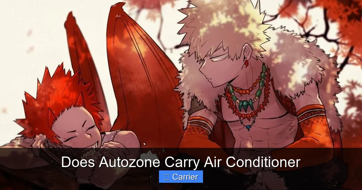 Does Autozone Carry Air Conditioner