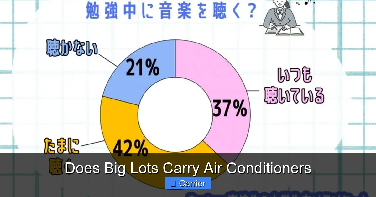 Does Big Lots Carry Air Conditioners