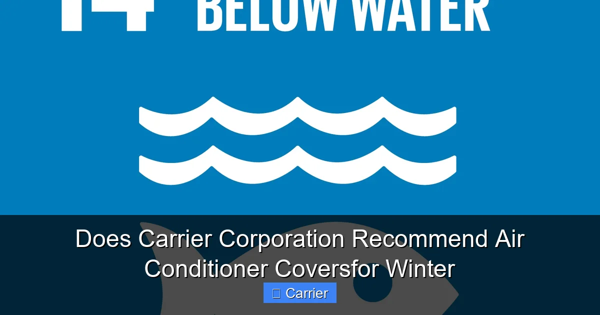 Does Carrier Corporation Recommend Air Conditioner Coversfor Winter