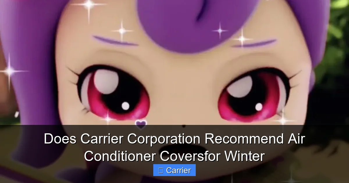 Does Carrier Corporation Recommend Air Conditioner Coversfor Winter