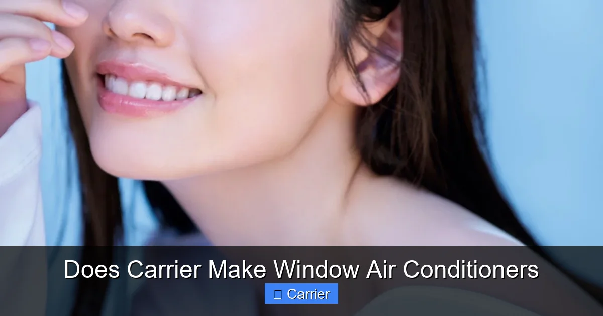 Does Carrier Make Window Air Conditioners