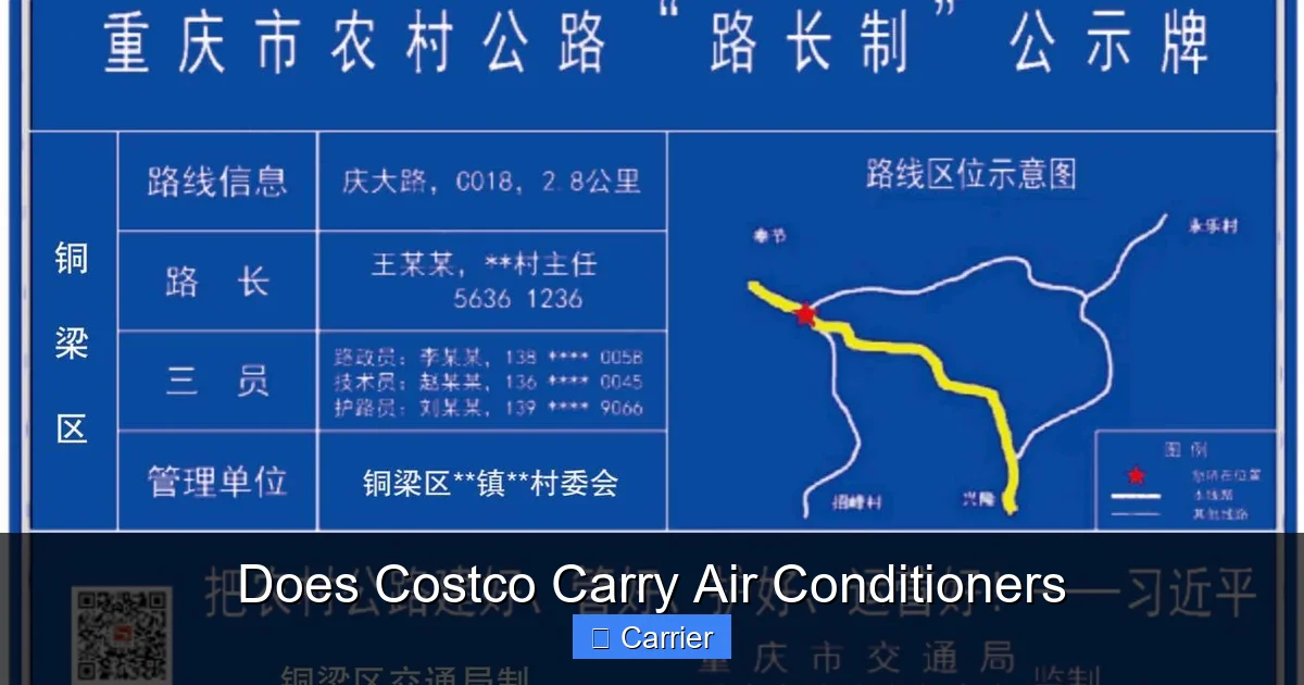 Does Costco Carry Air Conditioners