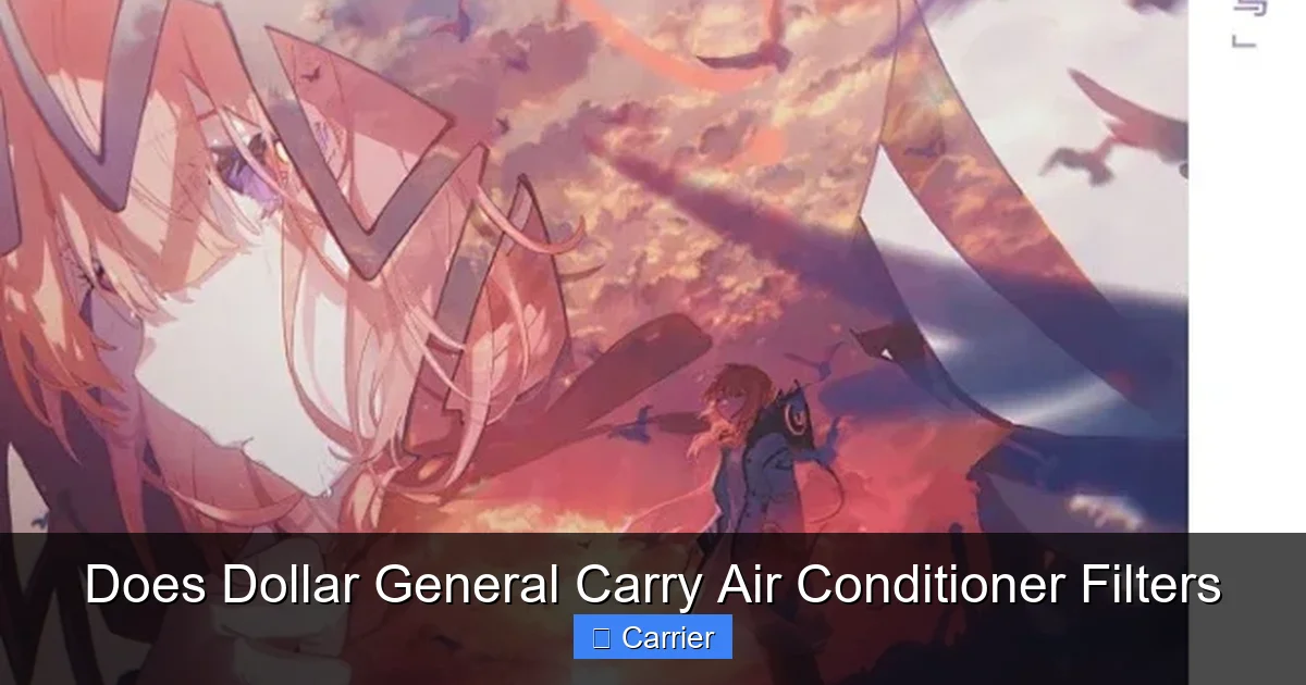 Does Dollar General Carry Air Conditioner Filters