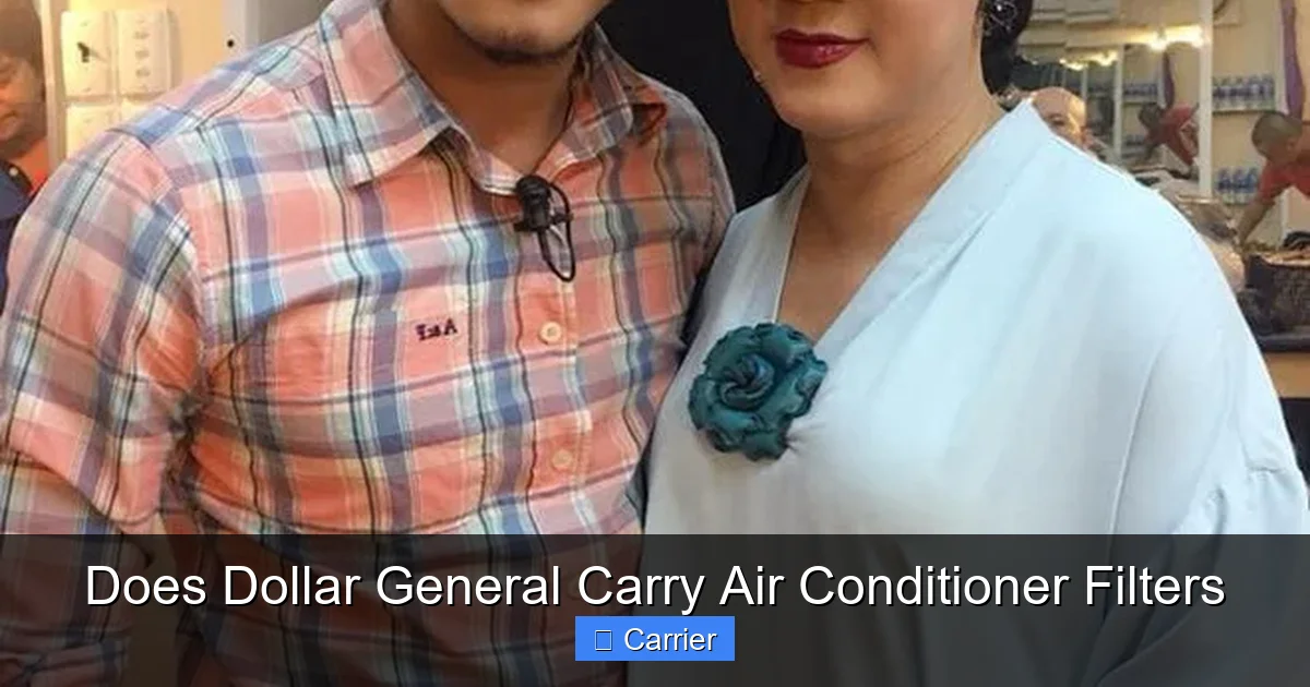 Does Dollar General Carry Air Conditioner Filters